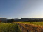 Top Ściegny Top Ściegny