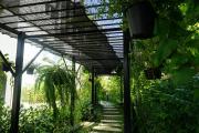 Top Chiang Mai