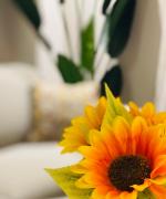 La Bella Modena Giardini Appartamenti