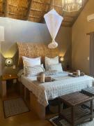 Zebula - African Dream B - Pax 6