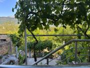 Top Tivat