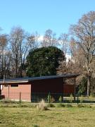 Cabañas Quilacoyan entre Villarrica y Pucon