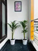 Bigbro-Air I Comfy N Independent