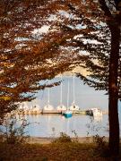 Top Polańczyk Top Polańczyk