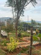 Top Machakos