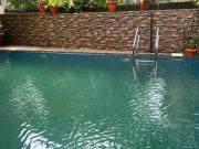 Top Calangute