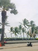 Top Jomtien Beach
