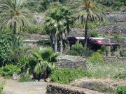Top Pantelleria