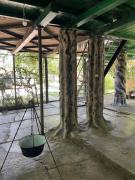 Top Vásárosnamény