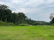 Top Madikeri Top Madikeri