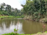 Top Madikeri Top Madikeri