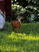 Top Radków Top Radków