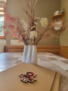 Rogla apartma Rdeča kapica