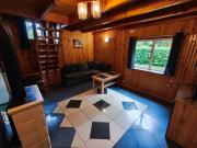 Top Nowe Guty Top Nowe Guty