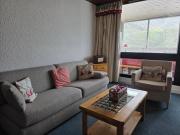 Le Serac Panoramic Mountain View spacious 40m2 managed by private host