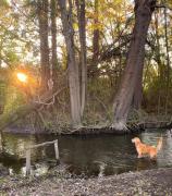 Top Los Ángeles Top Los Ángeles