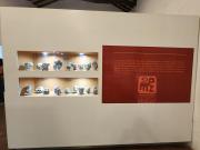 Top Zapatoca Top Zapatoca