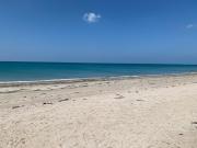 Top Agon Coutainville