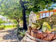 Top Viana do Castelo