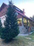 PENSIUNEA SIMONA ARIESENI