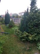 Top Augustów Top Augustów