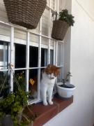 Rinconcito al pie del Cabo de Gata