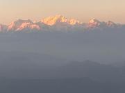 Top Darjeeling Top Darjeeling