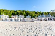 Top Binz