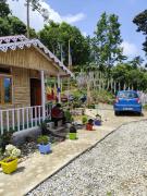 Top Pedong