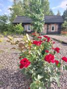 Top Kołacze Top Kołacze