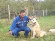 ХОТЕЛ за кучета Киноложки център СТИФ