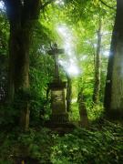 Top Lewin Kłodzki Top Lewin Kłodzki