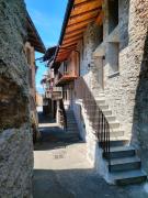 Top Tirano Top Tirano