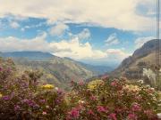 Ambiente Guest House