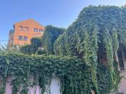 Top Novi Sad