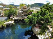 Nhà Gỗ Chân Nguyên Villa