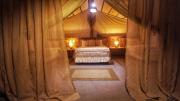 Aloha Glamping