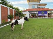 Top Tarapoto