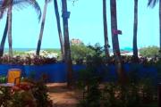 Top Malvan