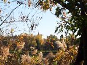 Top Entraigues-sur-Sorgue