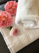 Vanagupė Apartment Stay