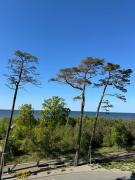 Top Dziwnówek Top Dziwnówek