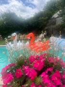 Top Saint-Pol-de-Léon