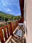 Top Galeş Top Galeş