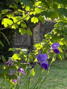 La Demeure dEuphrosine