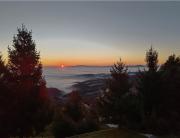 Apartma Pohorc - Kostanj