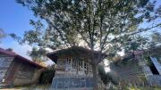 Top Nainital