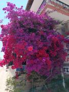 Top Kallithea Halkidikis