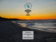 Ostsee-Urlaub-Zempin direkt am Küstenwald, nur wenige Minuten zum Strand, optimal für Paare mit 1 Hund bis 45 cm Schulterhöhe