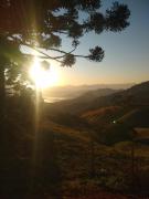 Quarto Pérola simples